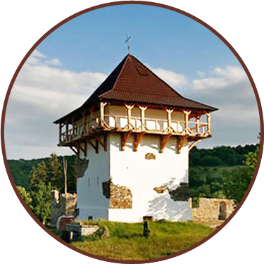 Державний історико-культурний заповідник "Буша"